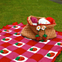 Strawberry Summer Crochet Blanket & Picnic Bag Kit by Zoe Potrac in WoolBox Imagine Classic DK