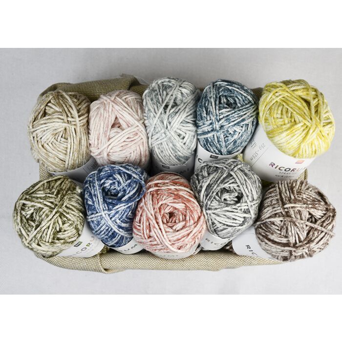 Ricorumi DK 10 Piece Yarn Colour Pack Multi Spray - 330g