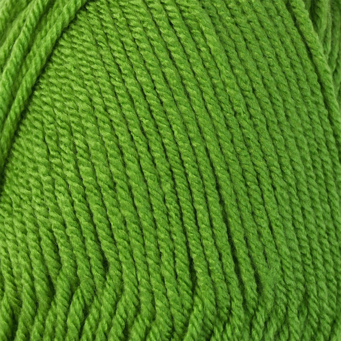 WoolBox Imagine Anti Pilling Aran Yarn 307 Tropical Palm 100g main product photo