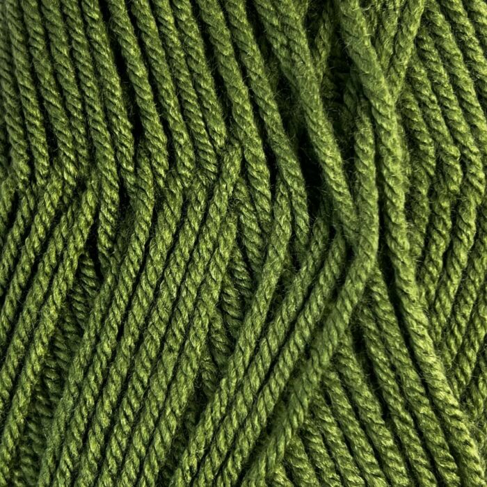 WoolBox Imagine Anti Pilling Aran Yarn 309 Forest Fern 100g main product photo