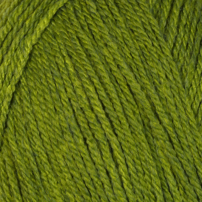 Scheepjes Scrumptious DK Yarn Baklava 325 100g main product photo