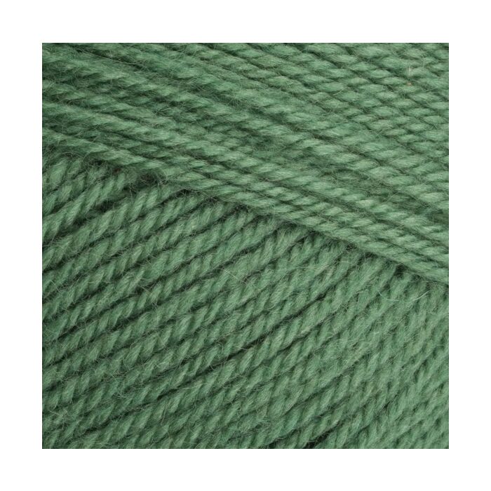 Stylecraft Special Aran with Wool Succulent 3980 400g main product photo