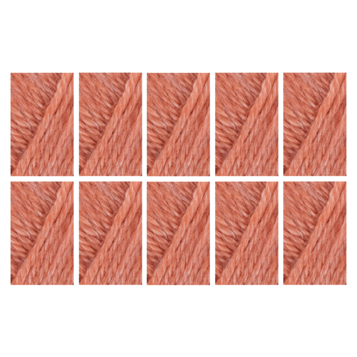 West Yorkshire Spinners Elements DK Yarn Value Pack 10x50g Living Coral 1103 500g main product photo