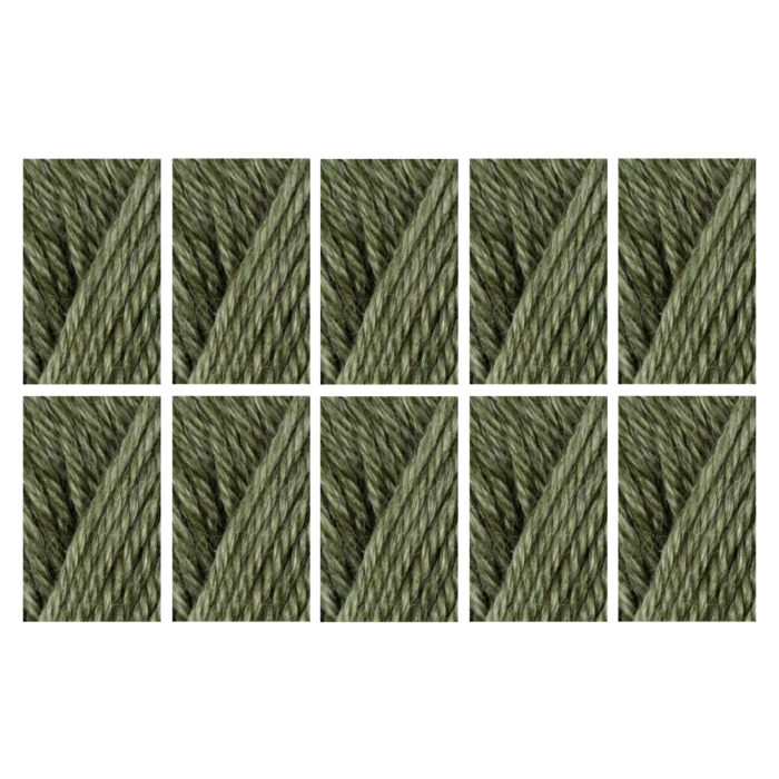 West Yorkshire Spinners Elements DK Yarn Value Pack 10x50g Olive Grove 1142 500g main product photo