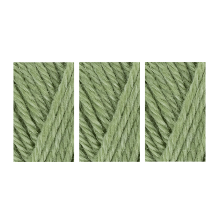West Yorkshire Spinners Elements DK Yarn Value Pack 3x50g Cool Aloe 1102 150g main product photo
