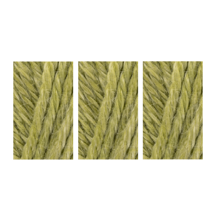 West Yorkshire Spinners Elements DK Yarn Value Pack 3x50g Palm Leaf 1104 150g main product photo