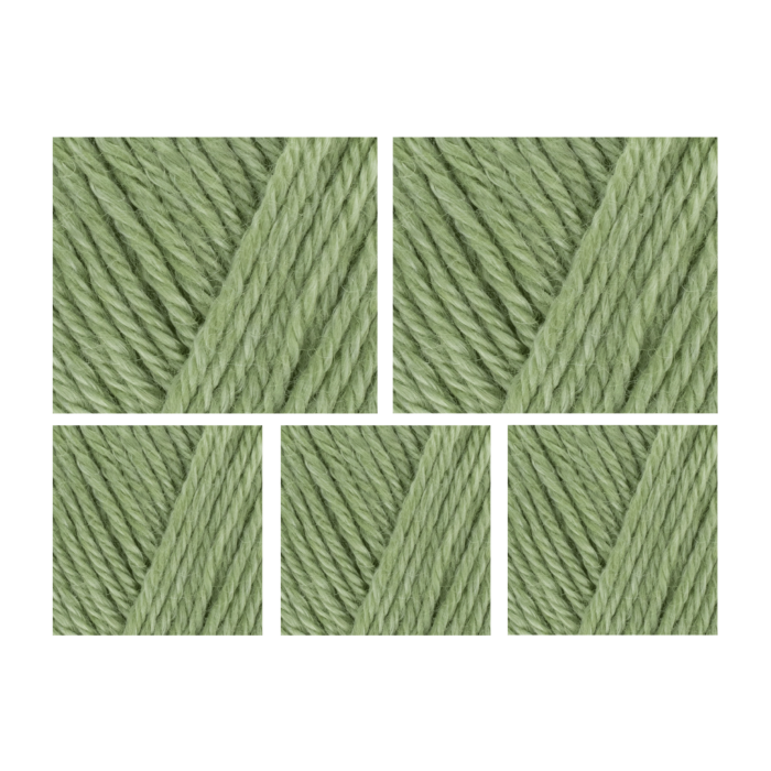 West Yorkshire Spinners Elements DK Yarn Value Pack 5x50g Cool Aloe 1102 250g main product photo