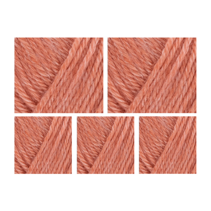 West Yorkshire Spinners Elements DK Yarn Value Pack 5x50g Living Coral 1103 250g main product photo
