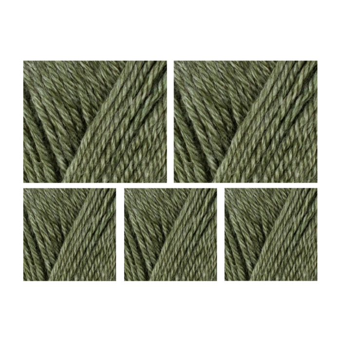 West Yorkshire Spinners Elements DK Yarn Value Pack 5x50g Olive Grove 1142 250g main product photo