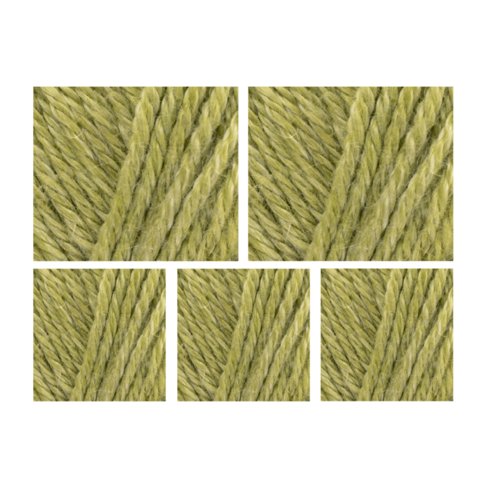 West Yorkshire Spinners Elements DK Yarn Value Pack 5x50g Palm Leaf 1104 250g main product photo