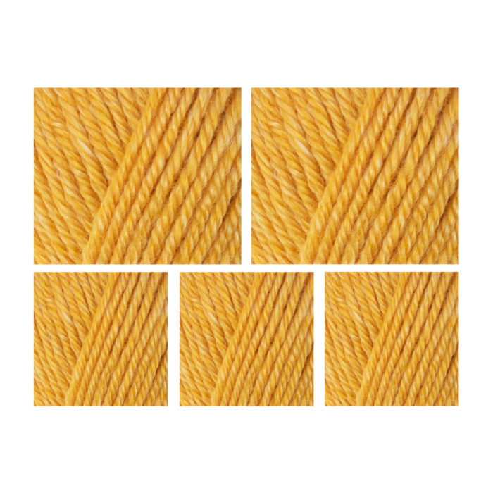 West Yorkshire Spinners Elements DK Yarn Value Pack 5x50g Sweet Nector 1143 250g main product photo