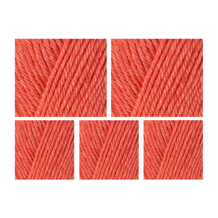 West Yorkshire Spinners Elements DK Yarn Value Pack 5x50g Watermelon 1145 500g main product photo