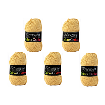 Scheepjes Colour Crafter DK Yarn Value Pack - 5 x 100g Balls 1420 Bergen 
