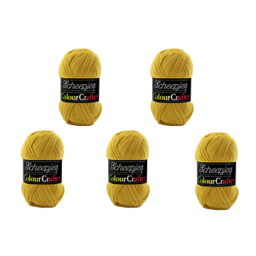 Scheepjes Colour Crafter DK Yarn Value Pack - 5 x 100g Balls 1823 Coevorden 