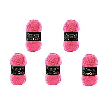 Scheepjes Colour Crafter DK Yarn Value Pack - 5 x 100g Balls 2006 Luik 