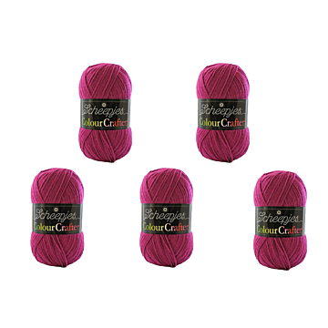 Scheepjes Colour Crafter DK Yarn Value Pack - 5 x 100g Balls 2009 Kortrijk 