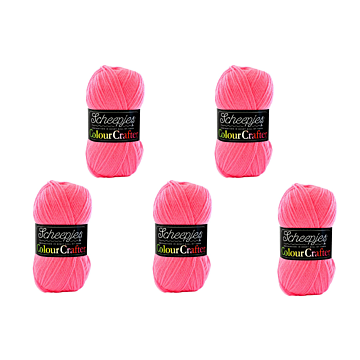 Scheepjes Colour Crafter DK Yarn Value Pack - 5 x 100g Balls 2013 Mechelen 