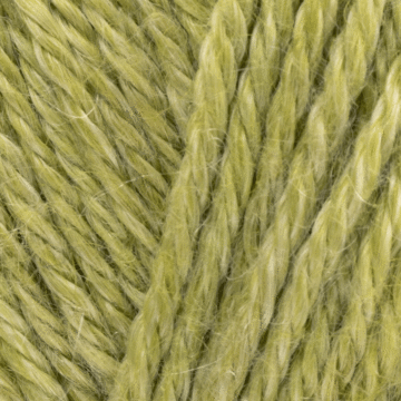 West Yorkshire Spinners Elements DK Yarn Palm Leaf 1104 50g